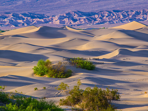 Sand Dunes. Death Valley