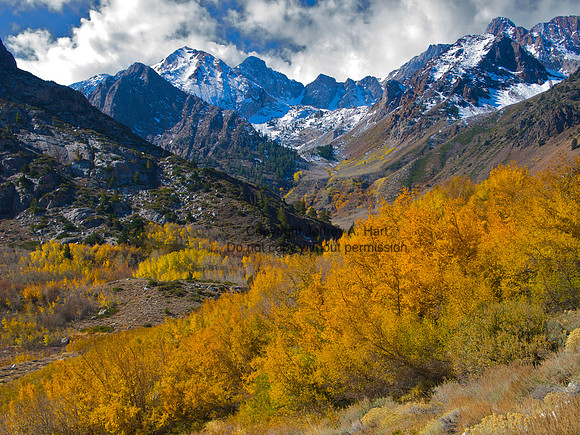 Fall Colors, Eastern Sierra Nevada Mountains