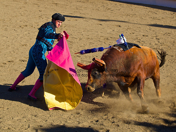 Portuguese (Bloodless) Bullfight