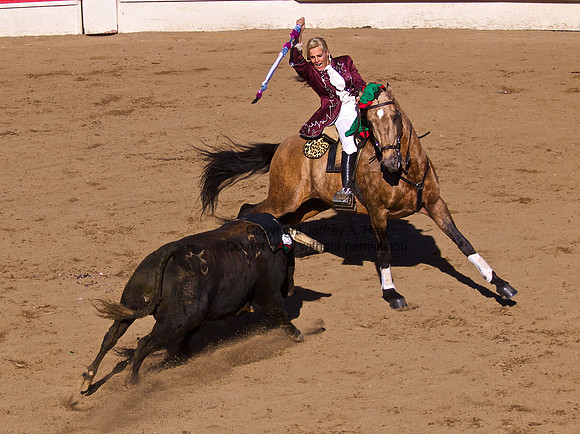 Portuguese (Bloodless) Bullfight
