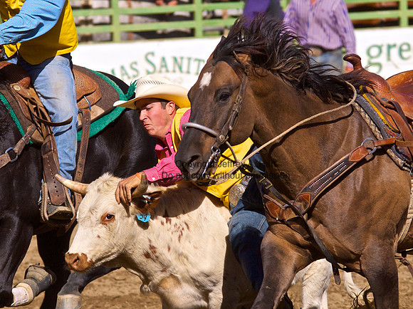 Rodeo, Quincy, California