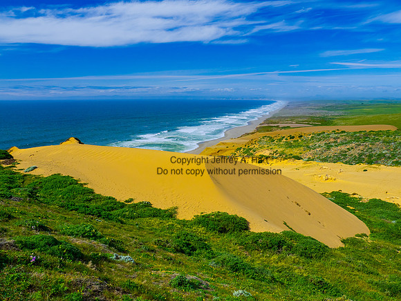 Point Reyes National Seashore