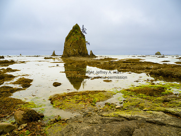 Washington Coast