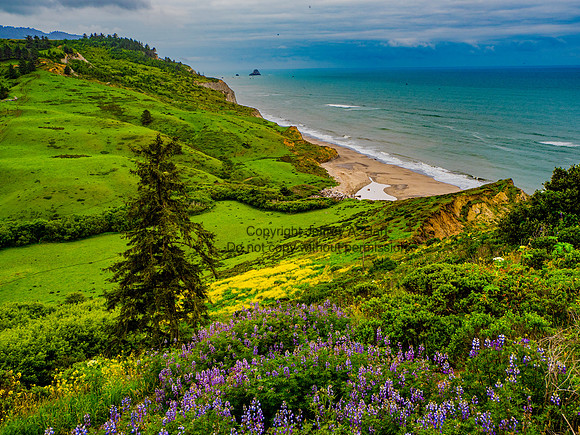 Northwest California Coast