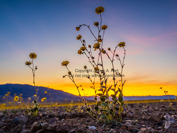 Death Valley