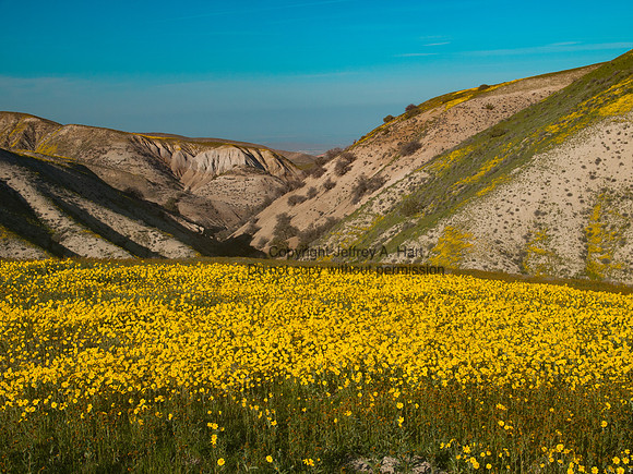 Near Carrizo Plains