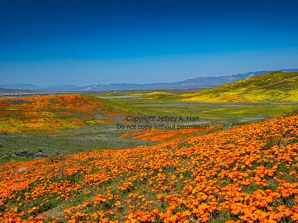 Antelope Hills